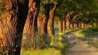 足球直播比分完整-解锁足球激情，深度解析足球直播比分完整服务如何重塑观赛体验